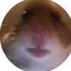 Profile Picture of Bryan Valerio (@@user3g1b2gajze) on Tiktok