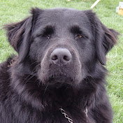 Profile Picture of Brian Bowers (@brianbowers6747) on Youtube