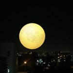 Profile Picture of Pavan Attota (@attotapavan5297) on Instagram