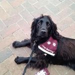 Profile Picture of Mike Gillett (@gillett47) on Instagram