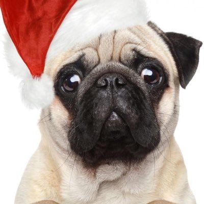 Profile Picture of JoAnne Gauthier (@o2balvr) on Twitter