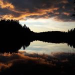 Profile Picture of anne surma-aho (@annesurmaaho) on Instagram