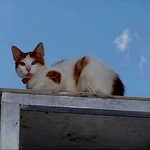 Profile Picture of Tezhip (@tezhip) on Flickr