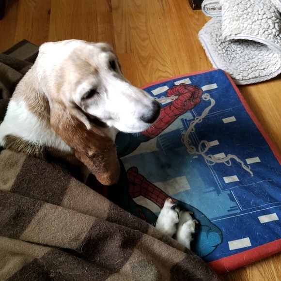 Jennifer Juliani - Poshmark Profile Picture of Jennifer Juliani (@jlw0973_) on Poshmark