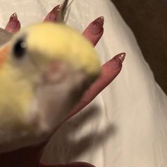 Profile Picture of Amy Goodpasture846 (@amyofoz) on Tiktok