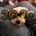 Profile Picture of Lorri Beth Umberger (@lorriumberger8675) on Instagram