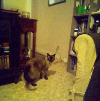 Profile Picture of Sharon Steadman (@sharon.steadman.9465) on Facebook