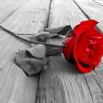 Profile Picture of Anuk Wemak (@anuk.wemak.14) on Facebook