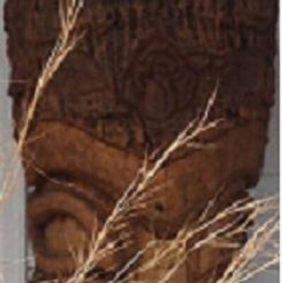 Profile Picture of Dianne Daniels (@ddanielssc) on Twitter