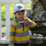 Profile Picture of Harry Cramer (@harrylou2201) on Instagram