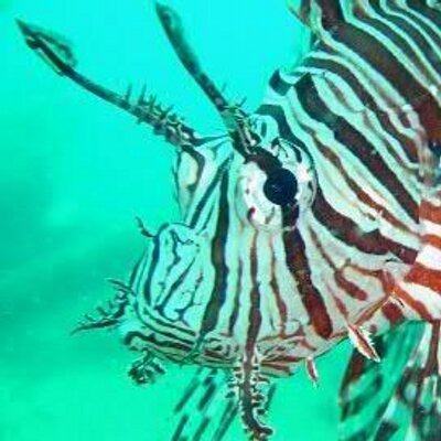 Profile Picture of James Passmore (@nmtoken) on Twitter
