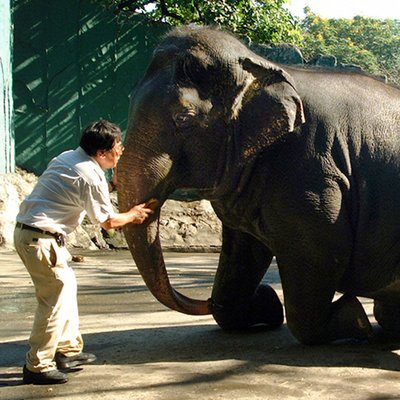 Profile Picture of John K Chua (@JKCMagiceye) on Twitter