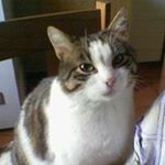 Profile Picture of Mario Borelli (@mario.borelli) on Instagram