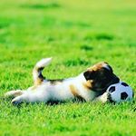 Profile Picture of Vincent Walker (@vincen867) on Instagram