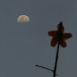 Profile Picture of Ernest Chuang (@ernestchuang) on Instagram