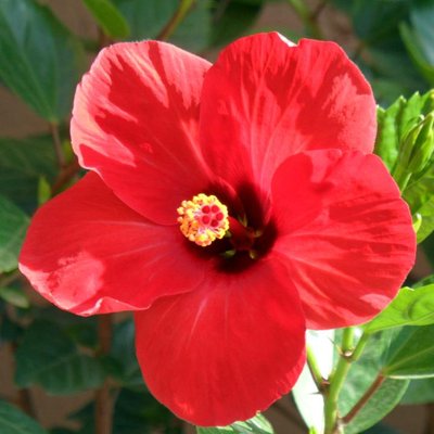 Profile Picture of Sarah Claing Chaput (@ClaingC) on Twitter