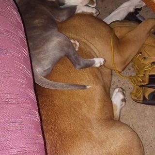 Profile Picture of Jeremy Koger (@Jeremy-Koger) on Facebook