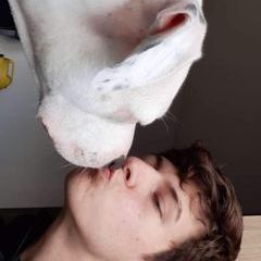 Profile Picture of Dawid Gawor (@davidgawor) on Tiktok