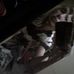 Profile Picture of Sara Read (@sara.read.9400) on Facebook