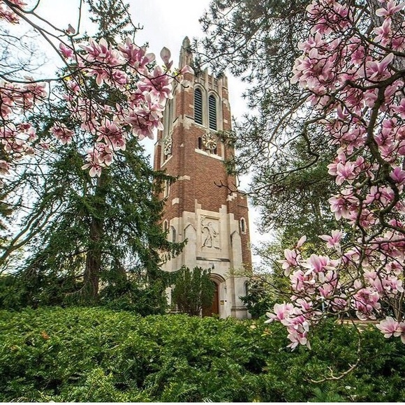 Profile Picture of Anthony Anthony (@anthon98) on Poshmark