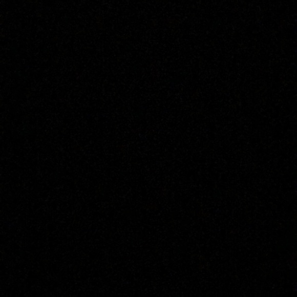 Profile Picture of Ronni Polane (@ronnipolane) on Poshmark