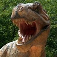 Profile Picture of Solomon Saul (@solomon-saul-2) on Quora