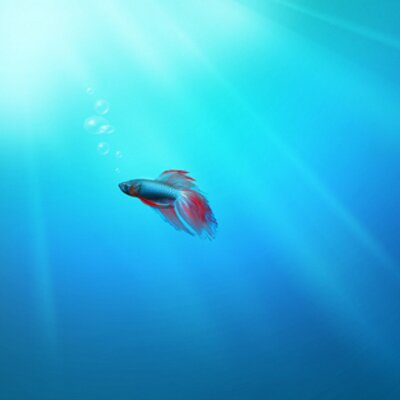 Profile Picture of William Stenberg (@dubbleuille) on Twitter