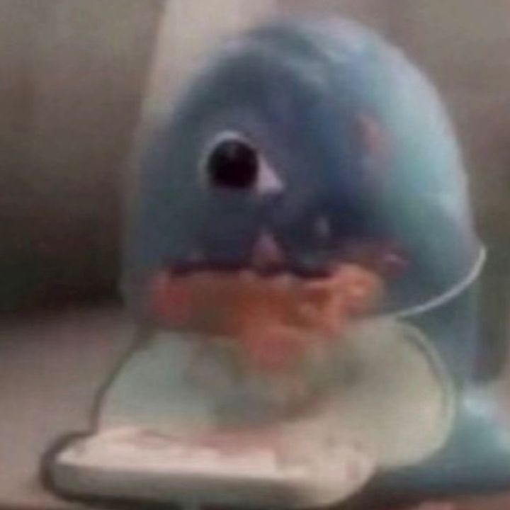 Profile Picture of Rayan | ریان (@rayan.chauhdry) on Tiktok