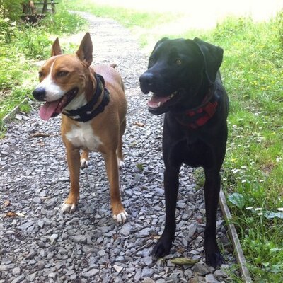 Profile Picture of Kerri Davey (@kezzamc79) on Twitter