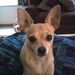 Profile Picture of Kim Ruxer (@ruxerk) on Pinterest