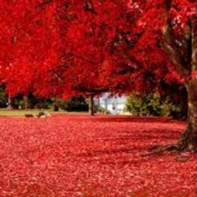 Profile Picture of Arshad Patel (@arshadpatel2020) on Twitter
