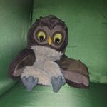 Joel Lundgren - Instagram Profile Picture of Joel Lundgren (@lord_magnolia) on Instagram