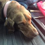 Profile Picture of Jake Alpert (@jke.alp) on Instagram