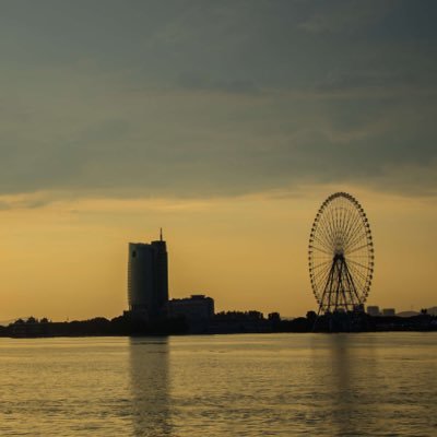 Profile Picture of Amber Ding (@amberding4) on Twitter