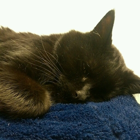 Profile Picture of Mikala Bringgold (@mbringgold) on Poshmark