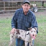 Profile Picture of Jimmy Tillman (@jtillman1960) on Instagram