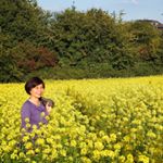 Profile Picture of Cecile Nguyen Thi Truong Giang (@truonggianguyen) on Instagram
