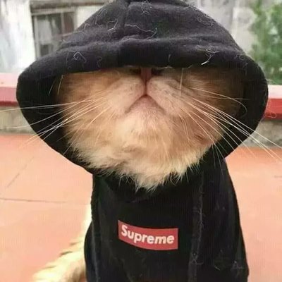 Profile Picture of Eduardo Nicolas Polanco Rodriguez (@Eduardo23160461) on Twitter