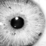 Profile Picture of Edoardo De Tommasi (@redox78) on Instagram