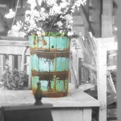 Profile Picture of Nancy Rollman (@N_Rollman) on Twitter