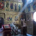 Profile Picture of Gena (@genawarrender1h) on Instagram