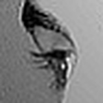 Profile Picture of Sadiq Ali (@native creative) on Flickr