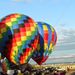 Profile Picture of Brian Harlow (@bmanharlow) on Pinterest