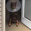 Profile Picture of randallhendrix635 (@@randallhendrix635) on Tiktok