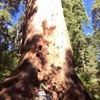 Profile Picture of Lillian Stiner (@@lillians.w7) on Tiktok