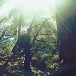 Profile Picture of James Rutigliano (@rutig007) on Instagram