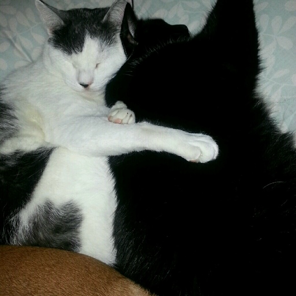 Allison Maurice - Poshmark Profile Picture of Allison Maurice (@alleyv) on Poshmark