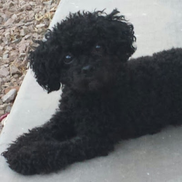 Profile Picture of Robin Roginski (@rhr1138) on Poshmark