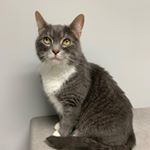 Profile Picture of Nancy (@nancy_mew_) on Instagram