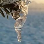 Profile Picture of Anne Marie Nicolay (@anne_marie_nicolay) on Instagram